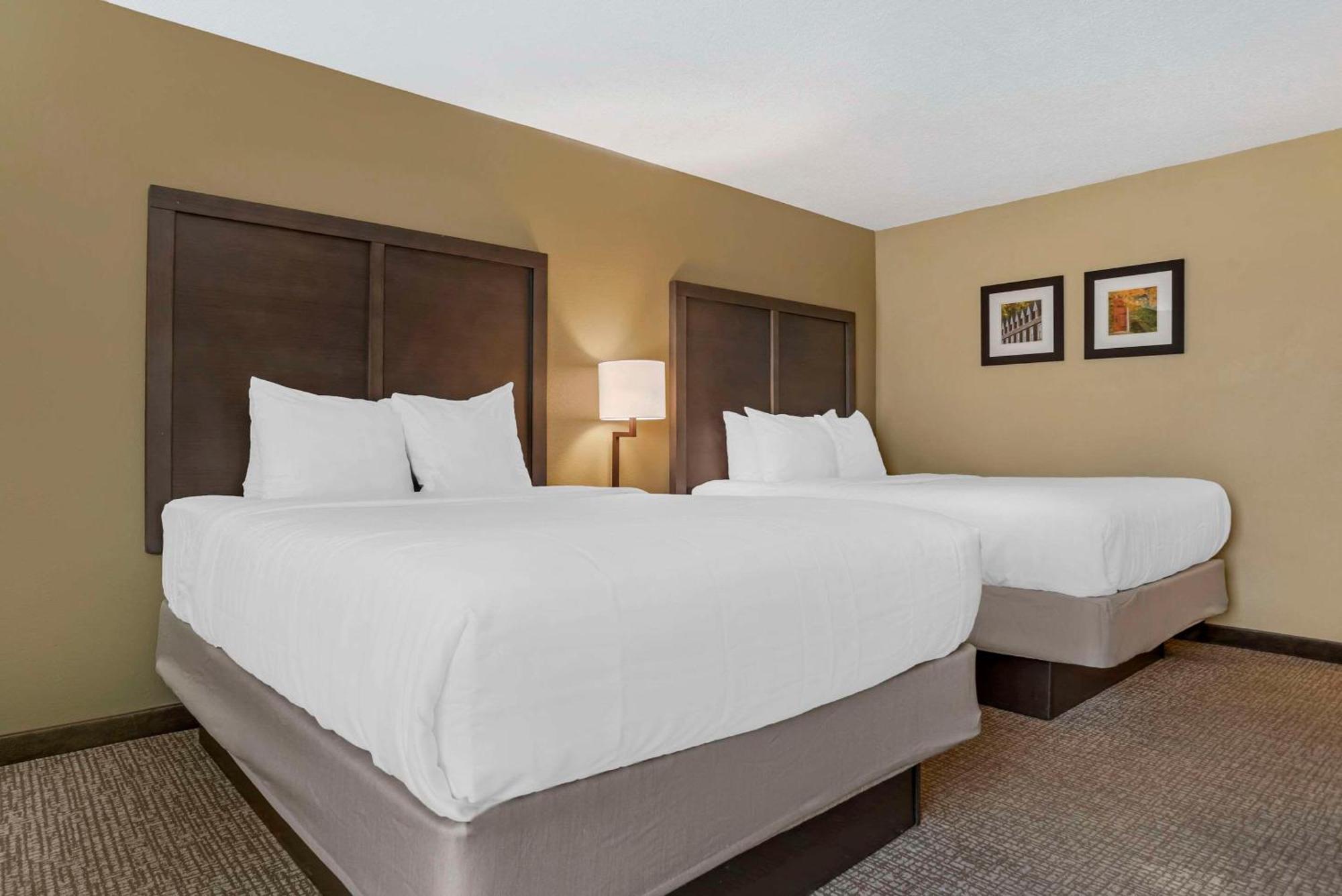 Comfort Inn Opelika - Auburn Exterior photo